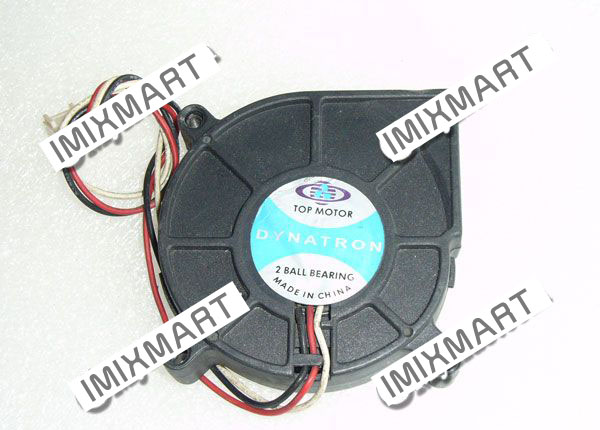 TOP MOTOR DYNATRON 2 BALL BEARING 3pin Cooling Fan